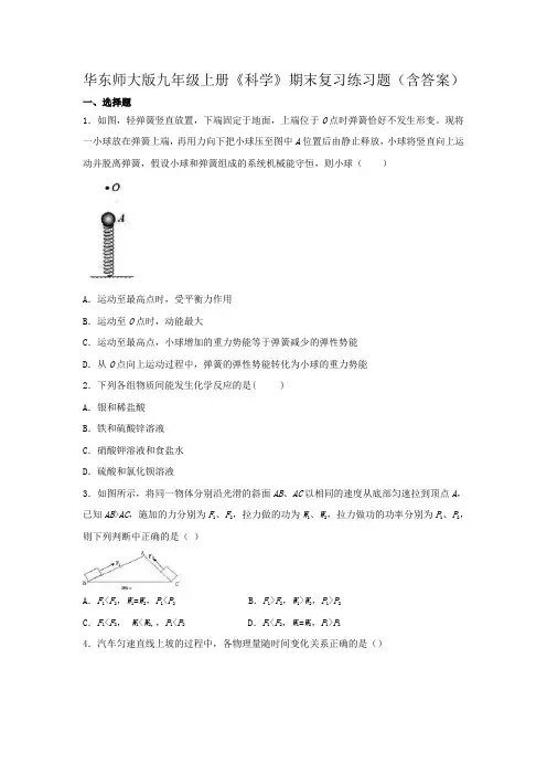 华东师大版九年级上册《科学》期末复习练习题(含答案)