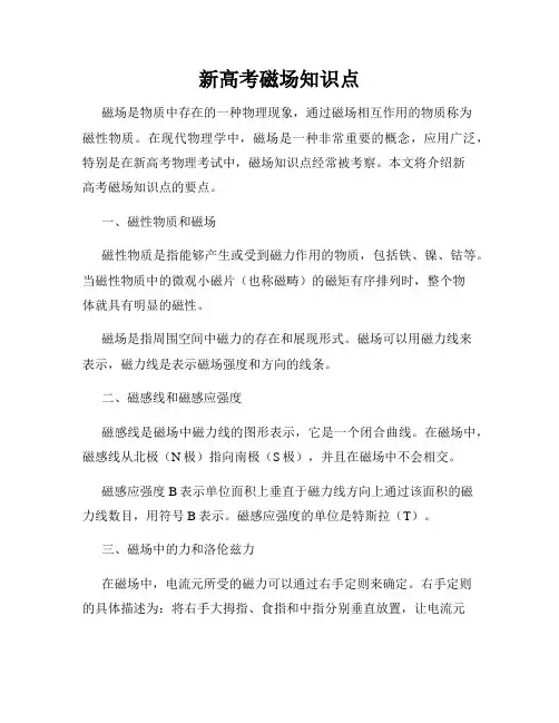 新高考磁场知识点