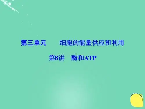 (课标版)高考生物一轮总复习第三单元细胞的能量供应和利用第8讲酶和ATP课件(必修1)