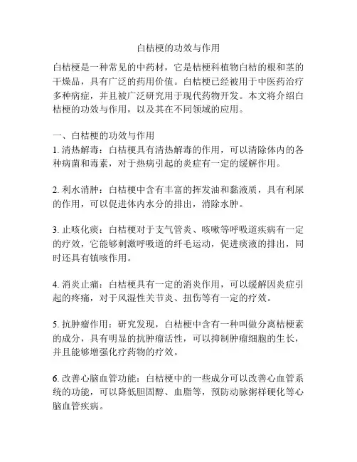 白桔梗的功效与作用
