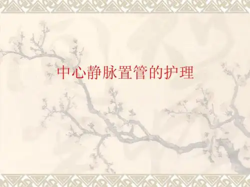 中心静脉置管的护理
