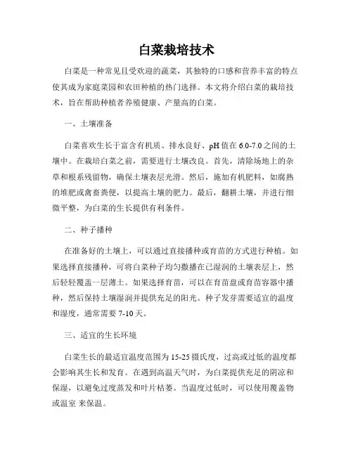 白菜栽培技术