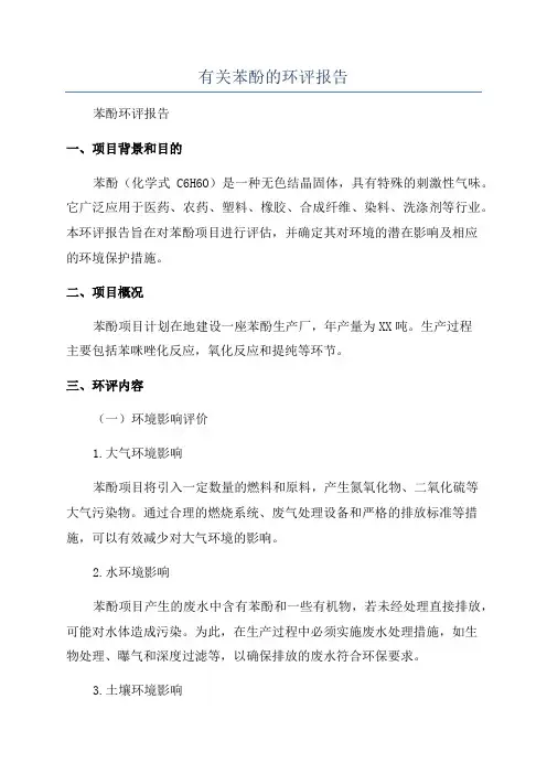 有关苯酚的环评报告