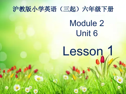最新牛津上海版六年级下册英语课件：Module 2 Unit 6《PE lessons》(第1课时)