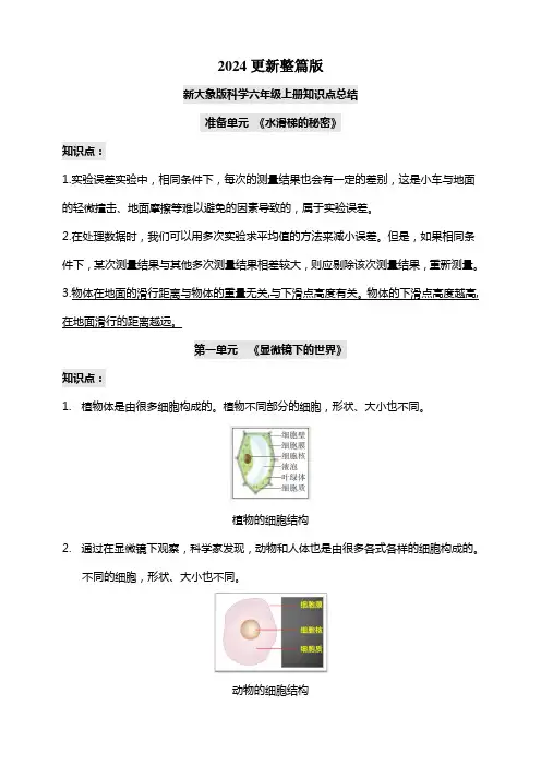 (新大象版)科学六年级上册全册知识点总结2024更新整篇版