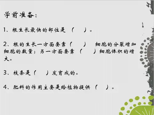 新人教版《开花和结果》上课课件PPT1