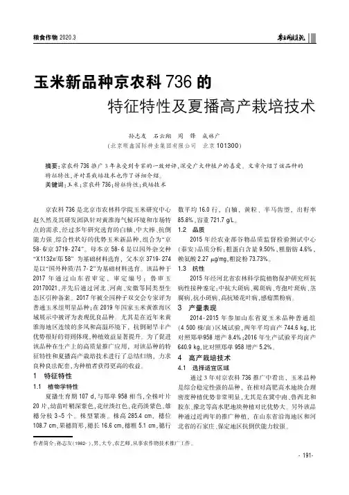 玉米新品种京农科736的特征特性及夏播高产栽培技术