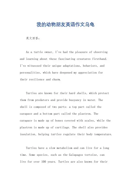我的动物朋友英语作文乌龟