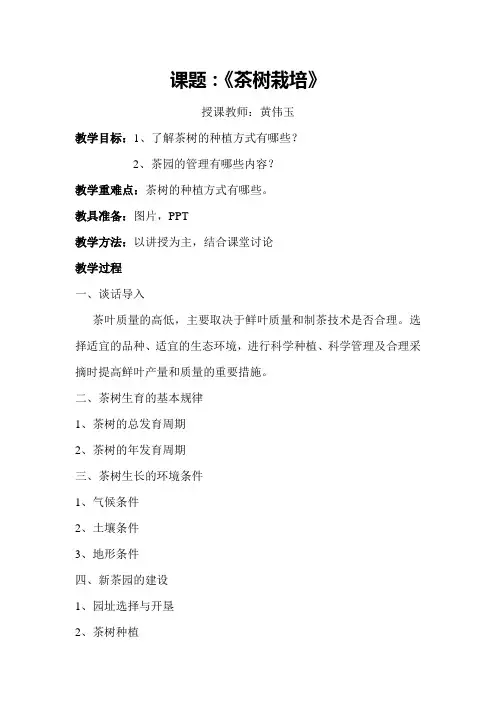 茶树栽培教案