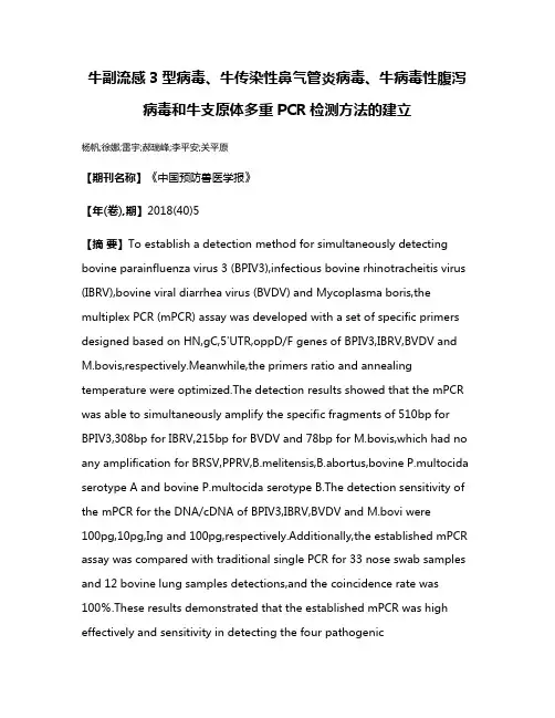 牛副流感3型病毒、牛传染性鼻气管炎病毒、牛病毒性腹泻病毒和牛支原体多重PCR检测方法的建立