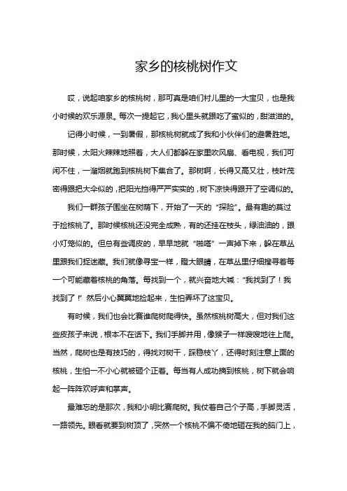 家乡的核桃树作文