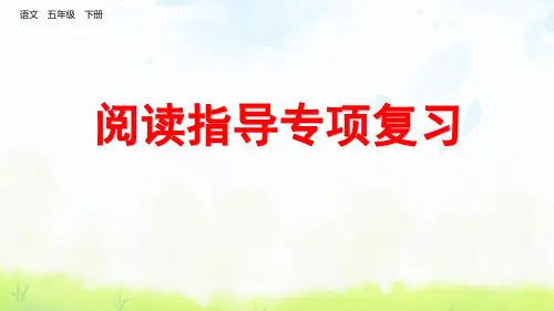 五年级语文下册《阅读指导专项复习》课件