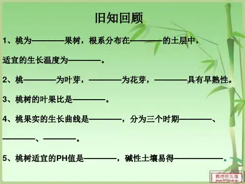 葡萄