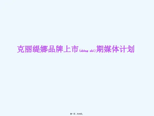 克丽缇娜媒体投放计划方案
