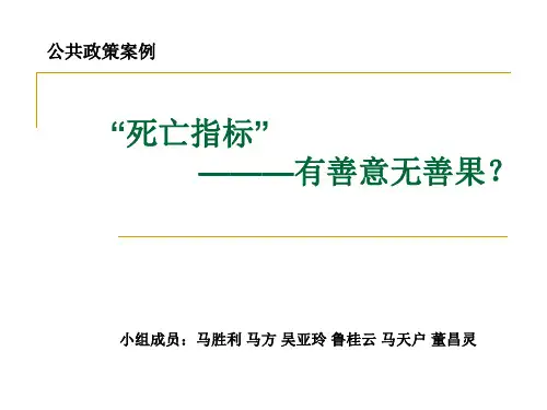 公共政策案例分析