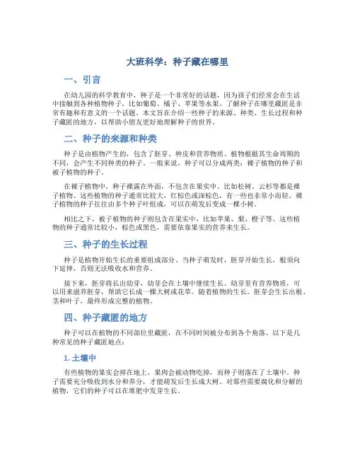 大班科学：种子藏在哪里
