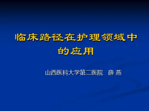 临床护理路径应用研究 ppt课件