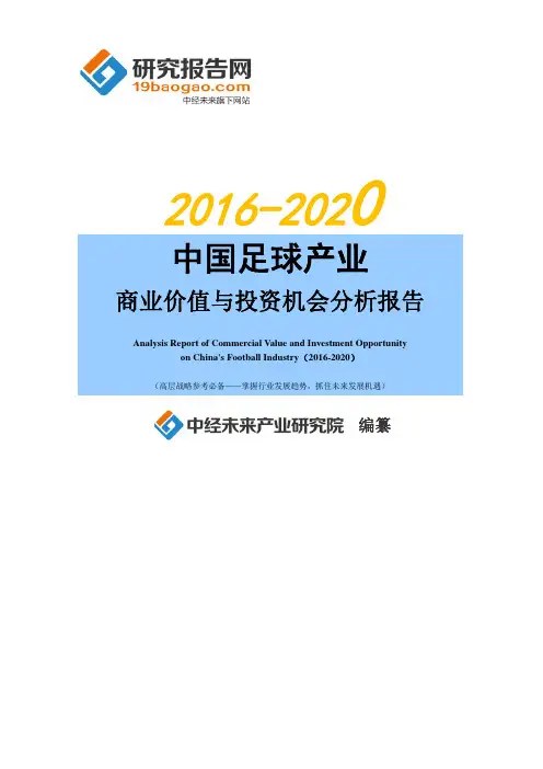 2016-2020年中国足球产业商业价值与投资机会分析报告