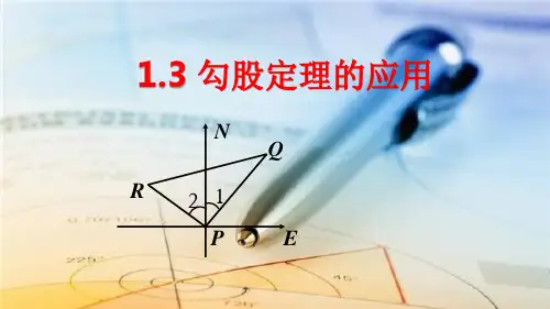 北师大版八年级数学上册1.3勾股定理的应用课件(共33张PPT)