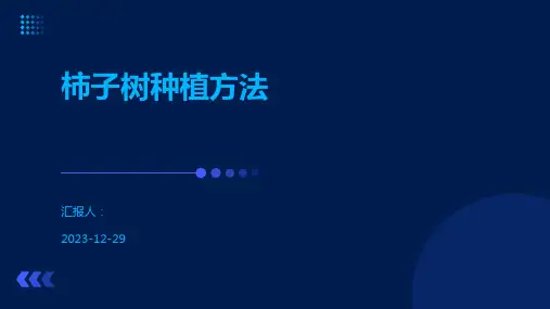 柿子树种植方法