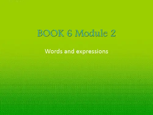 高中英语 Module 2 Words and expressions课件 外研版