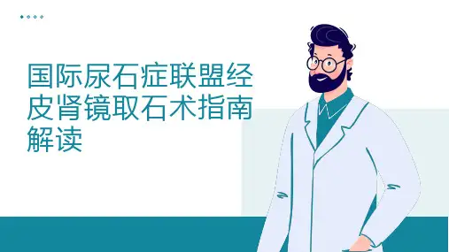 国际泌尿系结石尿石症联盟经皮肾镜取石术指南2024解读PPT