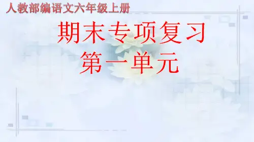 人教部编版语文六年级上册期末专项复习课件