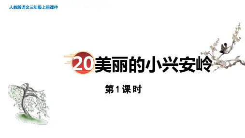 20.《美丽的小兴安岭》  第一课时 课件(共18张PPT)