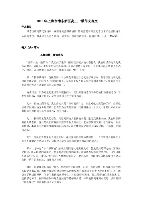 2019年上海市浦东新区高三一模作文范文
