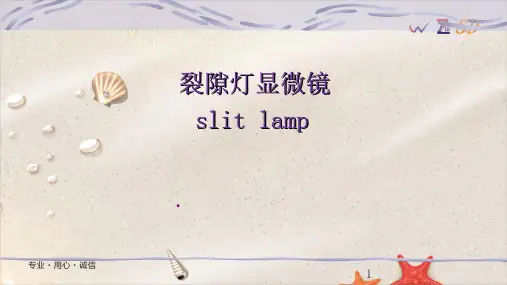 裂隙灯显微镜
