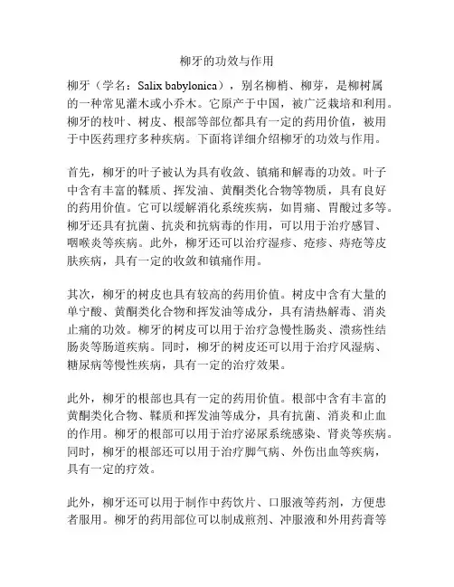 柳牙的功效与作用