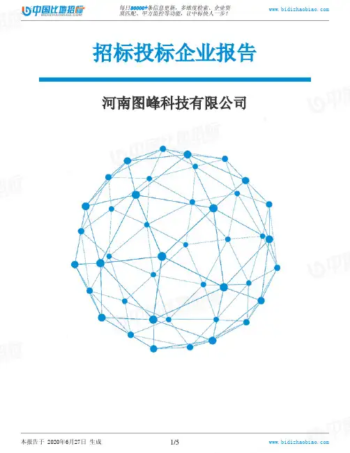 河南图峰科技有限公司-招投标数据分析报告