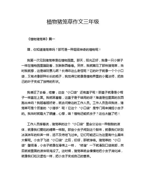 植物猪笼草作文三年级