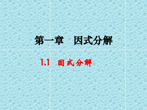 鲁教版八年级上册1.1《因式分解》