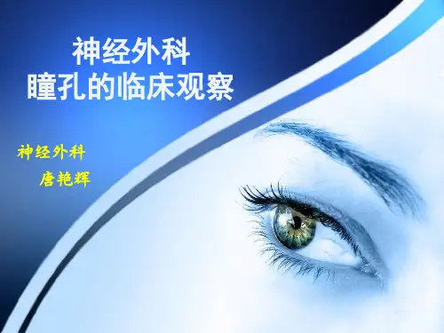瞳孔观察PPT(1)