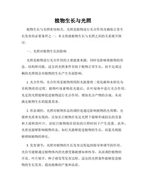 植物生长与光照