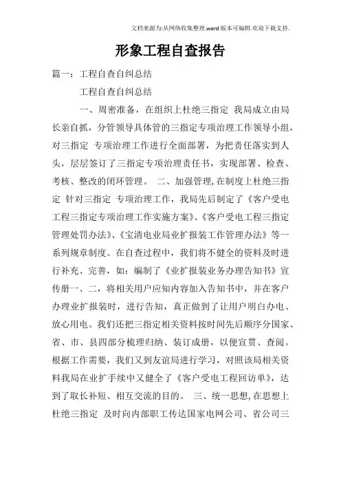 形象工程自查报告