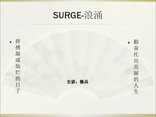 电磁兼容_试验和测量技术_浪涌(冲击)抗扰度试验 23页PPT文档