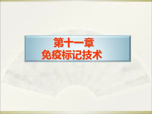 免疫标记技术-精品