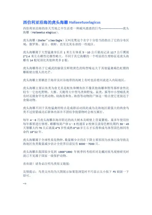 西伯利亚沿海的虎头海雕Haliaeetuselagicus