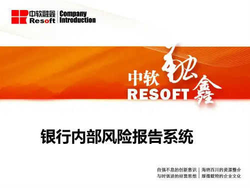 银行全面风险管理系统框架