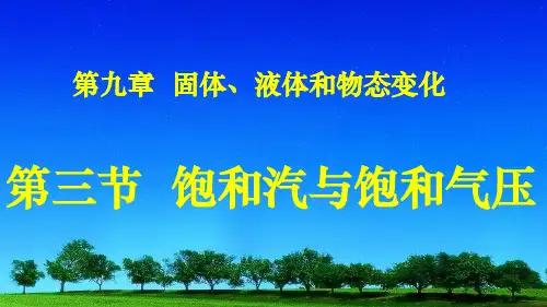人教版物理选修3—3第九章 第三节 饱和汽与饱和汽压 课件