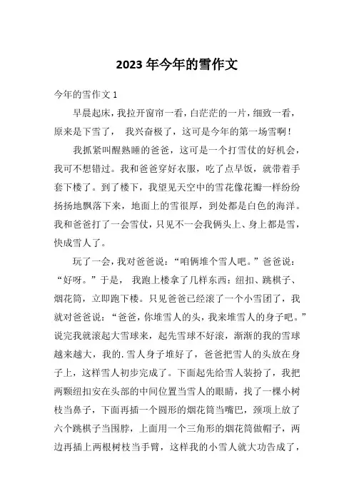 2023年今年的雪作文