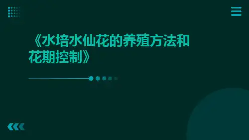 水培水仙花的养殖方法和花期控制