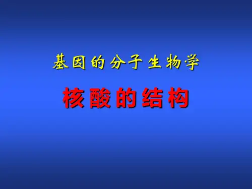基因的分子生物学-核酸结构简介