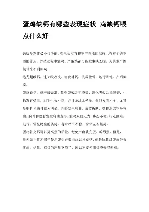 蛋鸡缺钙有哪些表现症状 鸡缺钙喂点什么好