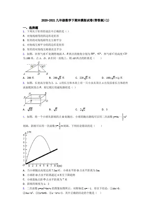2020-2021九年级数学下期末模拟试卷(带答案)(1)