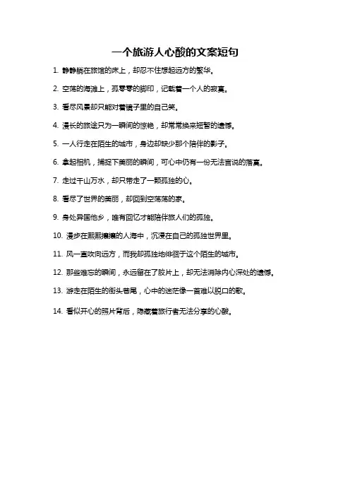 一个旅游人心酸的文案短句