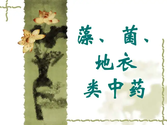 藻菌地衣类(中药)s