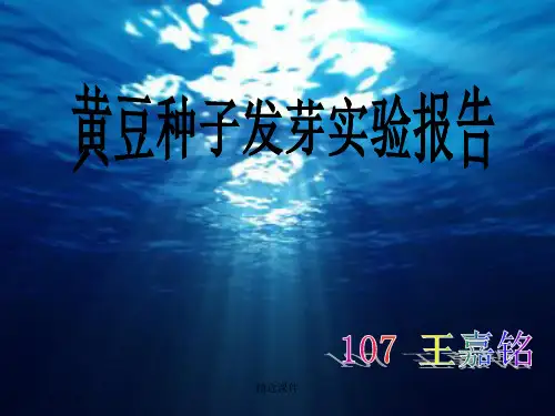 黄豆种子发芽实验报告